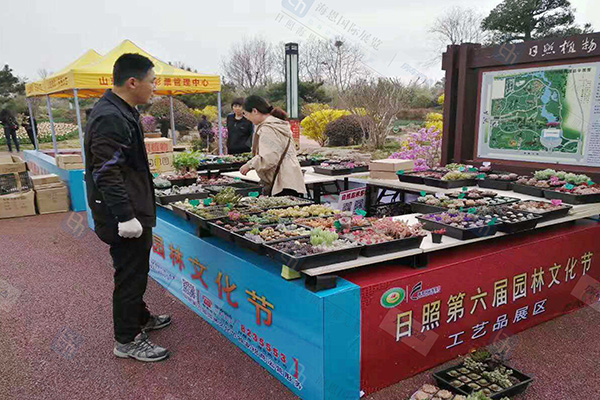 日照园林文化节